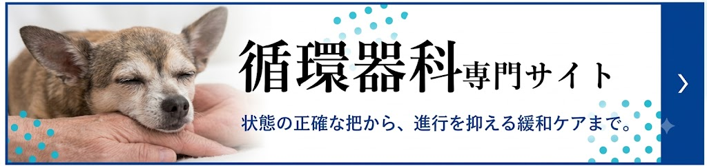 循環器科専門ページ