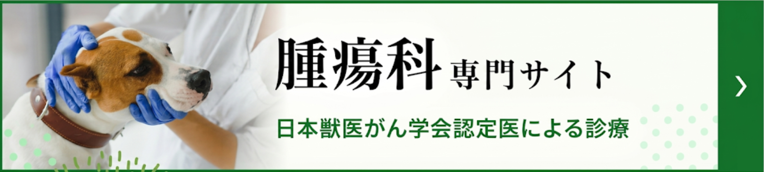 腫瘍科専門ページ