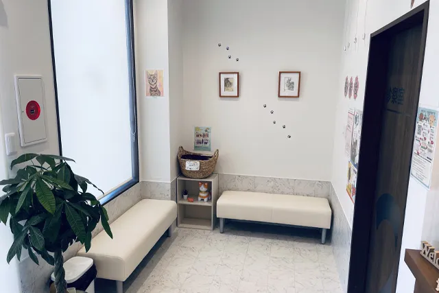 キャットフレンドリークリニックとは？