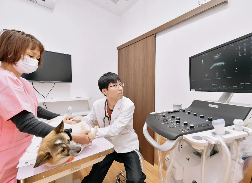 腫瘍科診療に力を入れております