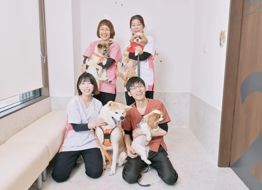 犬猫が"がん"と診断されたご家族の方へ