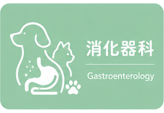 消化器科