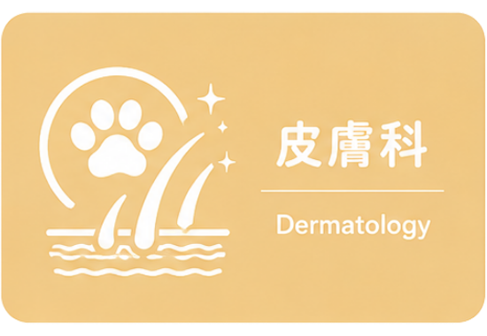皮膚科