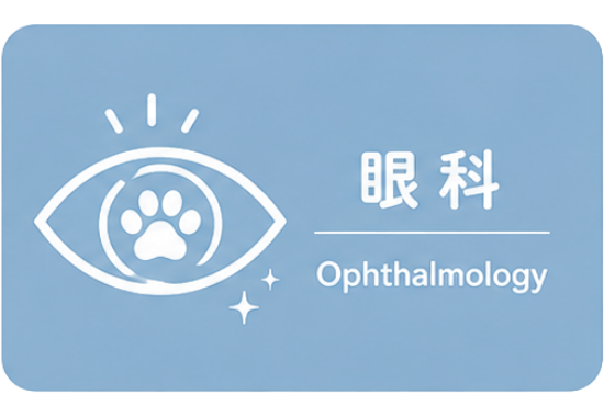 眼科